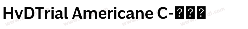 HvDTrial Americane C字体转换